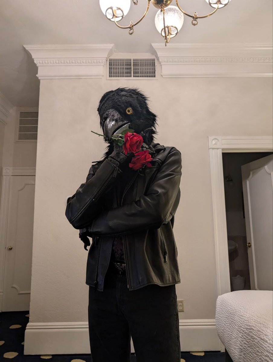 Razar_theRaven's tweet photo. Good fit? https://t.co/kAVE7gKsr2