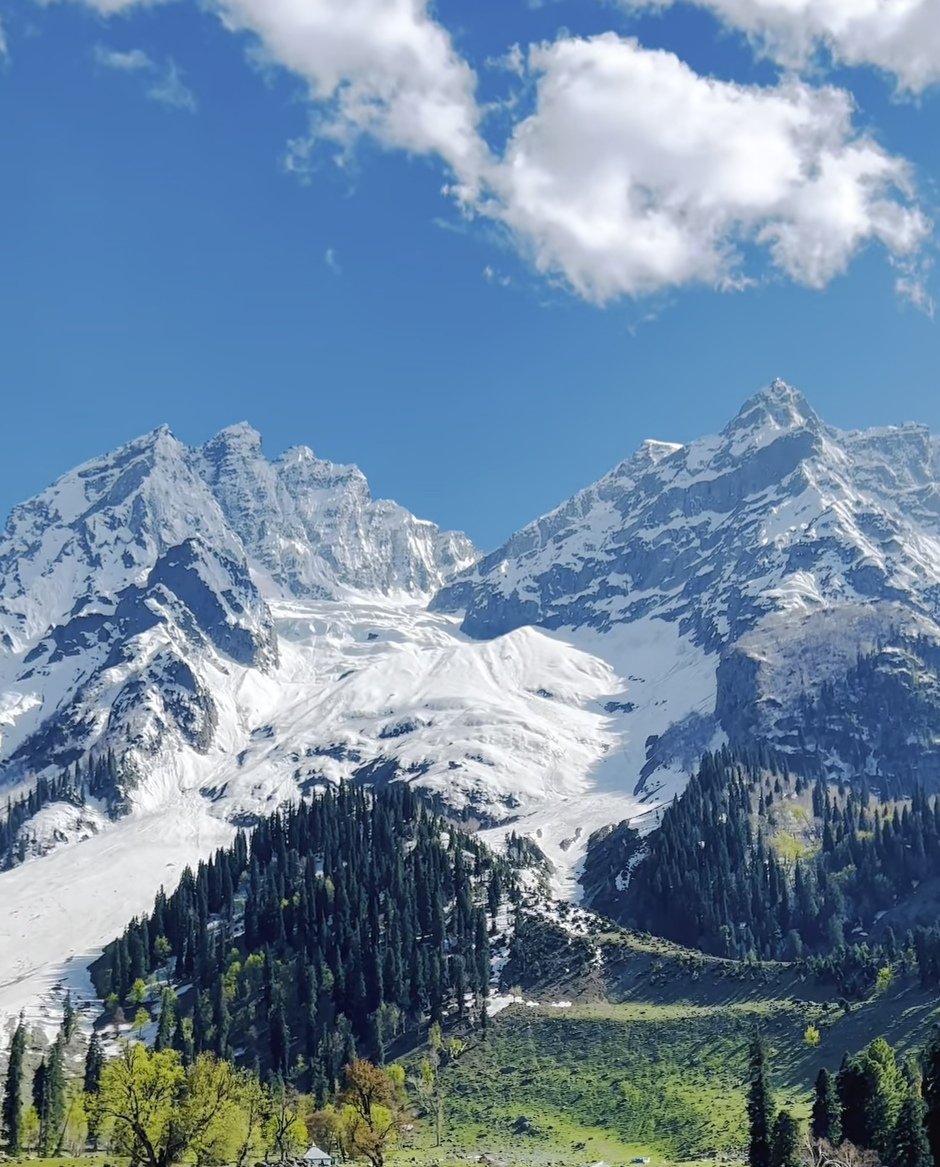 Araids Travel Trips tweet media