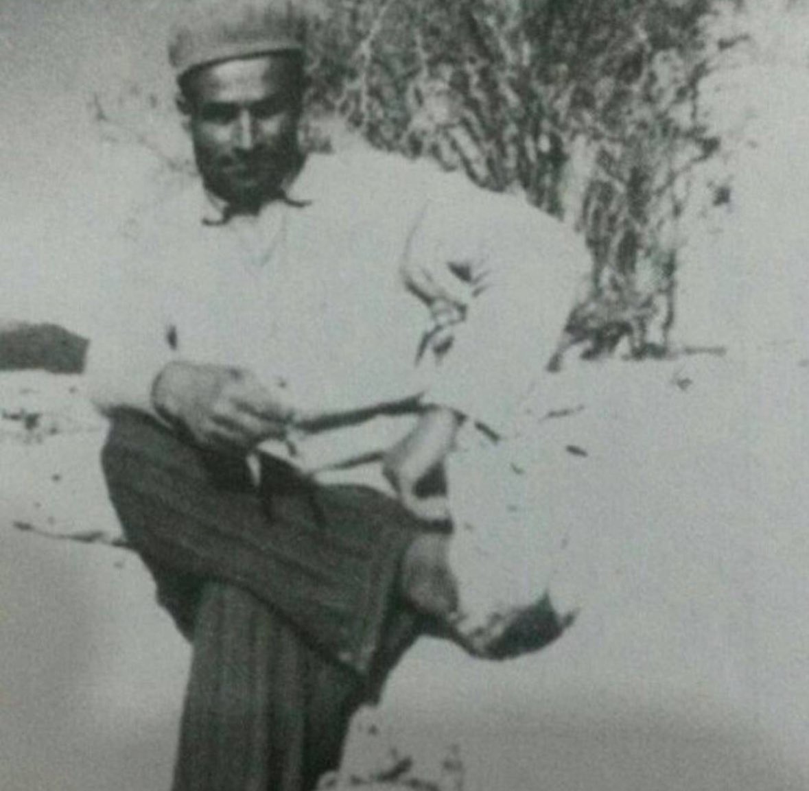 این بخشی از شعری‌ست که مردم #لر #کوهگیلویه_بویراحمد و #ممسنی به یاد آن دوران زمزمه میکنند:

بِیراحمڌ یایوم کنؽت بیشدر سر تنگ
کی دیڌه بچه لوری بِی شاه کنه جنگ؟
دای بالونَل بال ایزَنن بالَی گجهسۊن
خَهک گروته مالَـله چی سِه زمهسۊن

یعنی ای مردم بویراحمد حماسه‌های من در سر تَنگ را