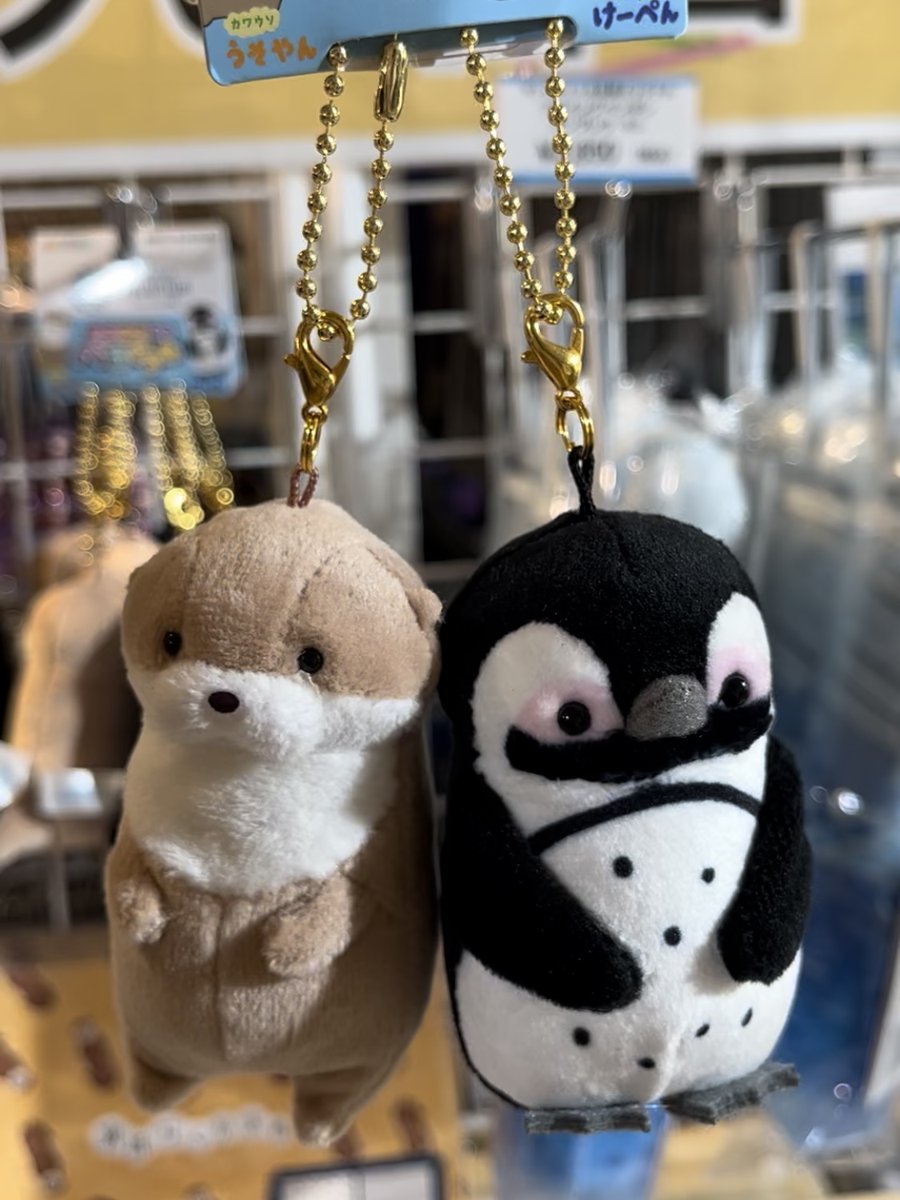 🐧ペンギン・カワウソ好きな方必見🐧 館内2階「ショップ アクア