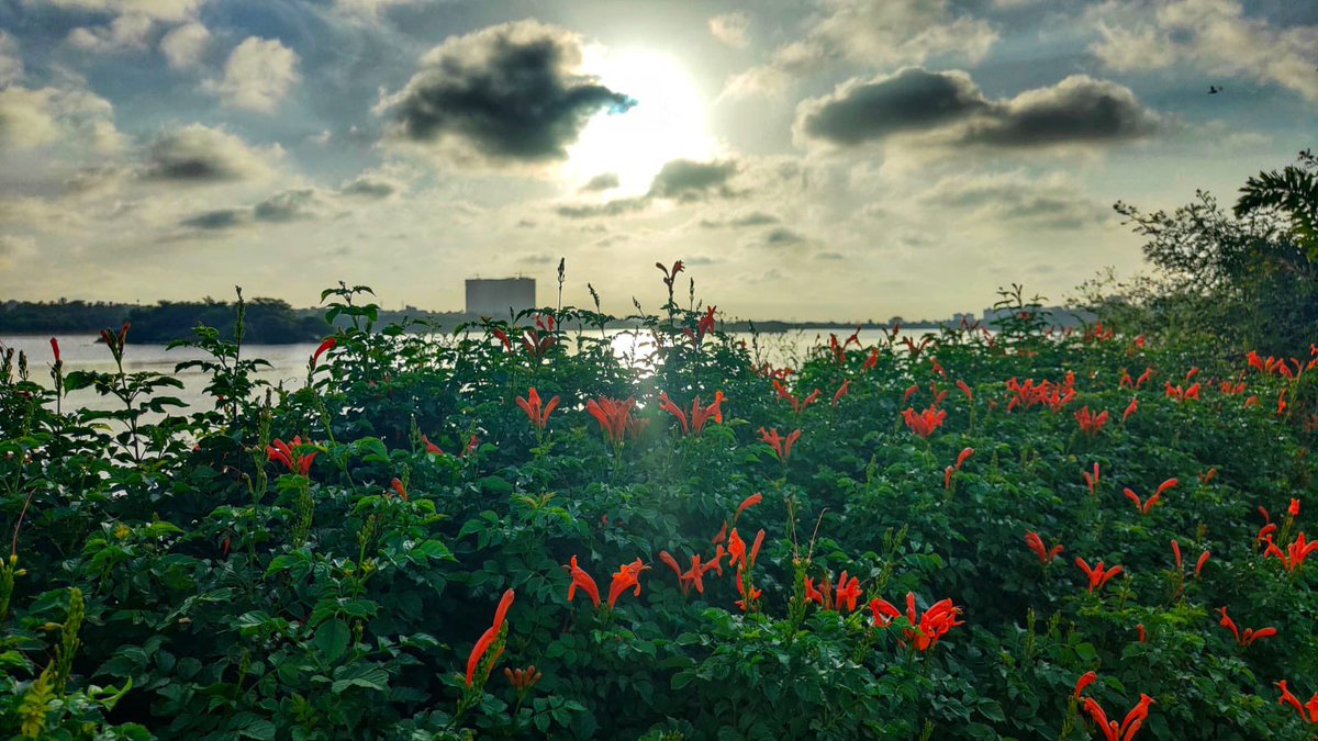 Ninja_Chichaa's tweet image. Your phone is enough 
#OnePlus13R #iPhone