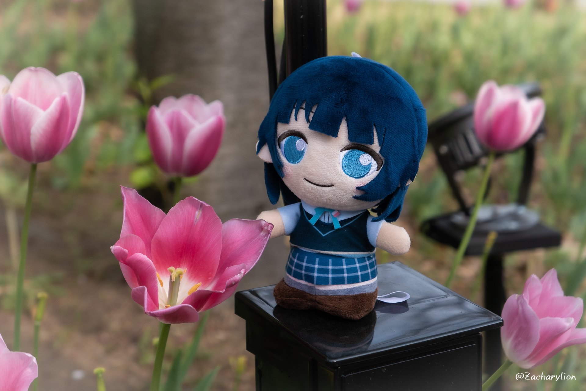 ゆうひ様 2点おまとめ