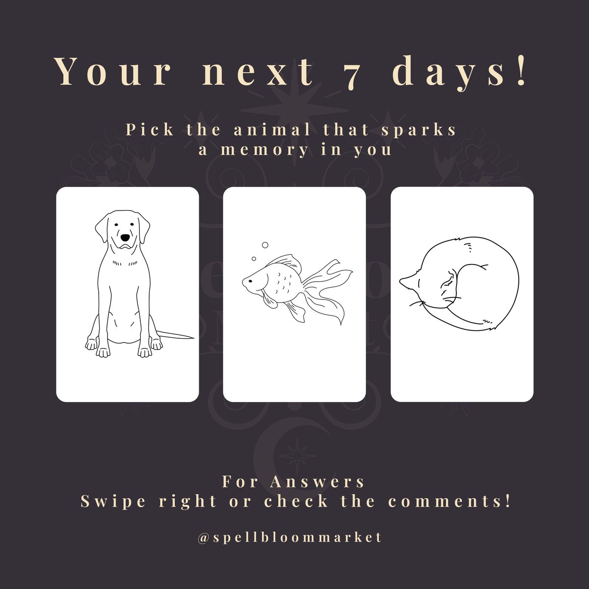 WCresent25283's tweet photo. 🔮Pick a Card Reading | Your next 7 days🔮
This reading is timeless✨

Note: This is a free general reading, take what resonates and leave what doesn't. 

#witchtok #witch #witchcraft #spirituality #tarot #witchyvibes #witchy #crystals #pagan #witchythings #tarotreading https://t.co/JfpRCtbnAX