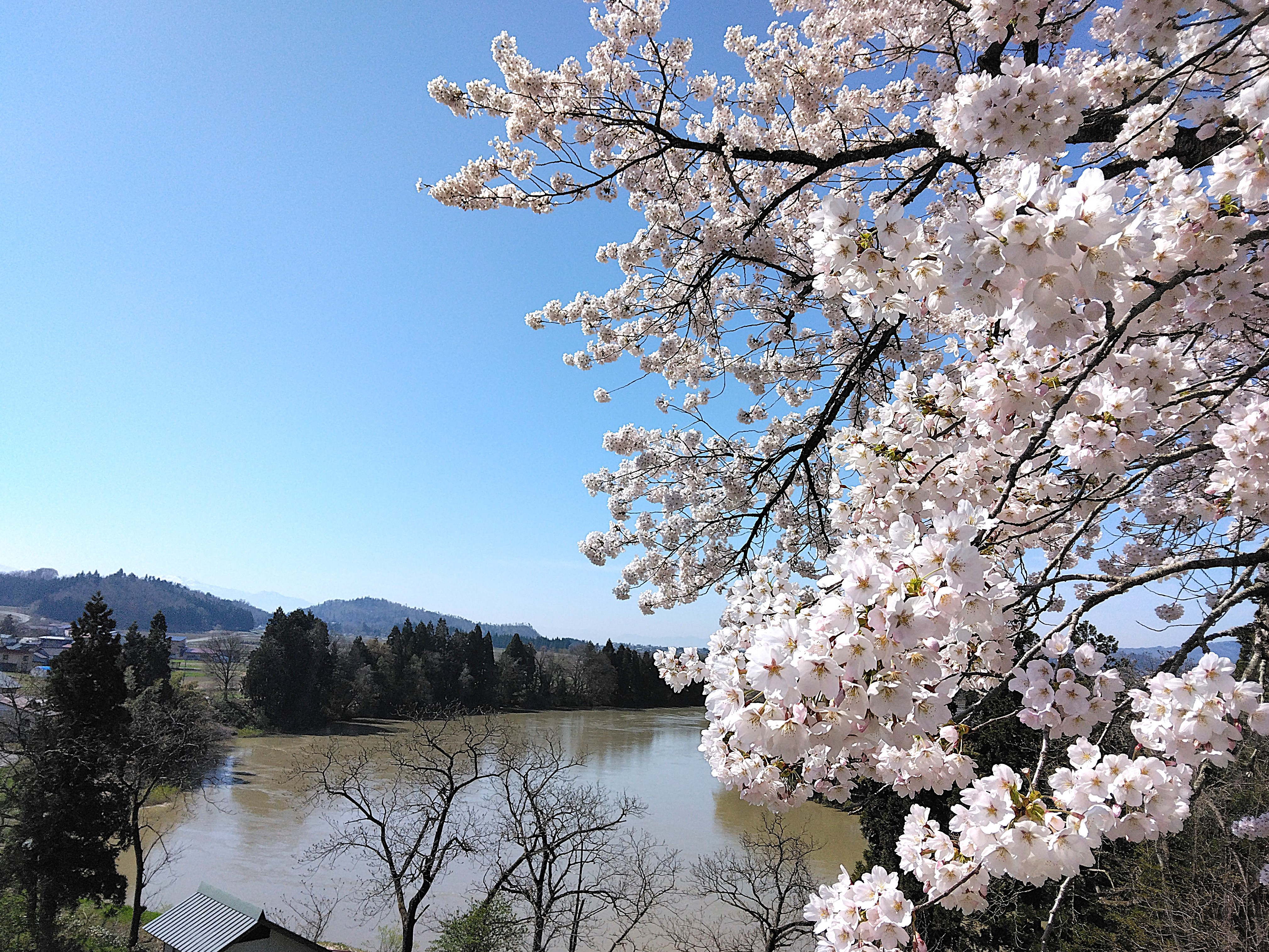 最上川美術館 (@mogamirivmuseum) / X 最上川美術館 (@mogamirivmuseum) / X