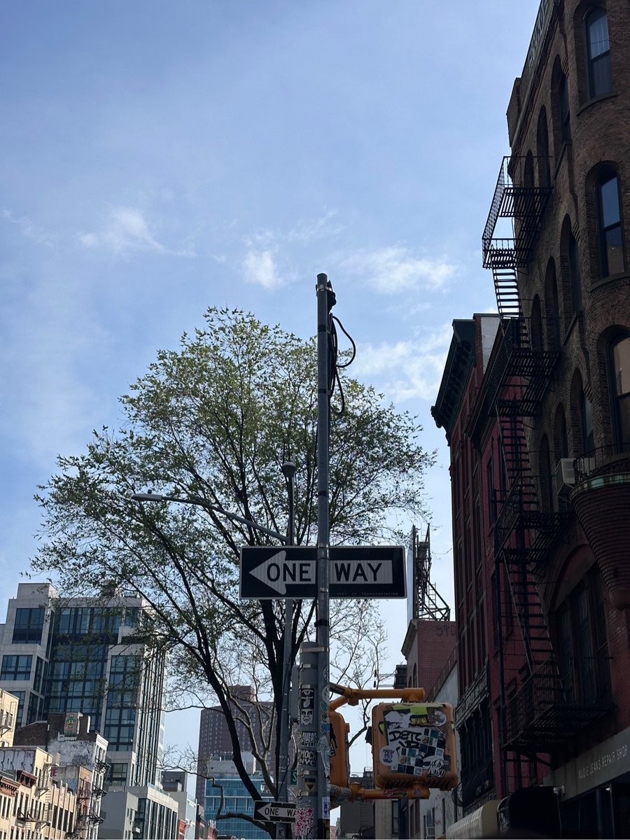 NY is soooooooo nice❤️‍🔥❤️‍🔥❤️‍🔥

#ONEOREIGHT
#1OR8
#SOUMA