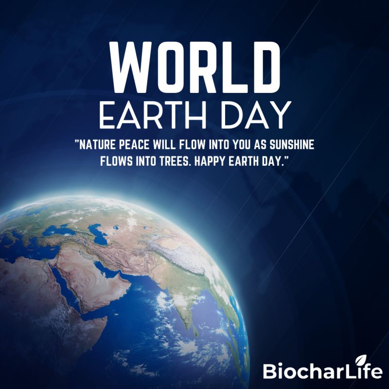 Biochar Life tweet media