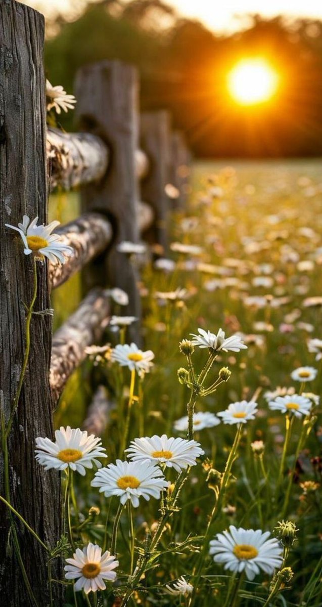 Don't imagine the worst incidents in your emotional life -- keep a positive attitude.