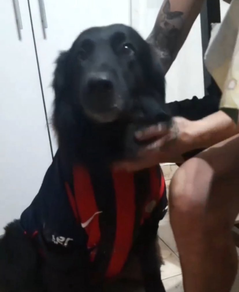 lovito es nuevo jugador de san lorenzo no lo puedo creer😭