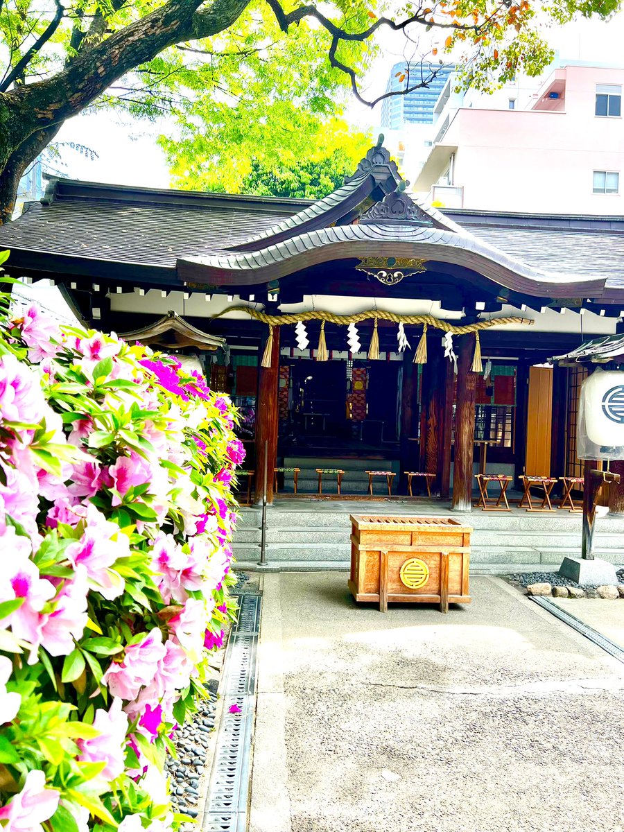 サムハラ神社 銀環守 御守り 貴重 高騰中 店頭商品 最強力パワー