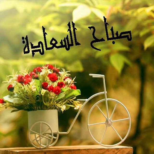 صاحب السعادة (@jalalarik) on Twitter photo 