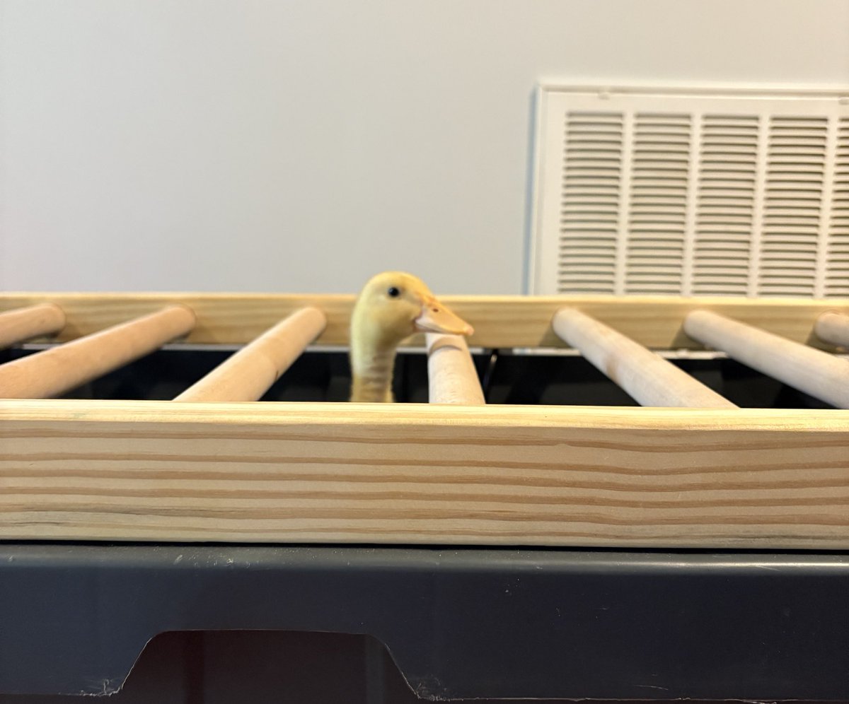 some of us download knowledge and the rest of yall leArN