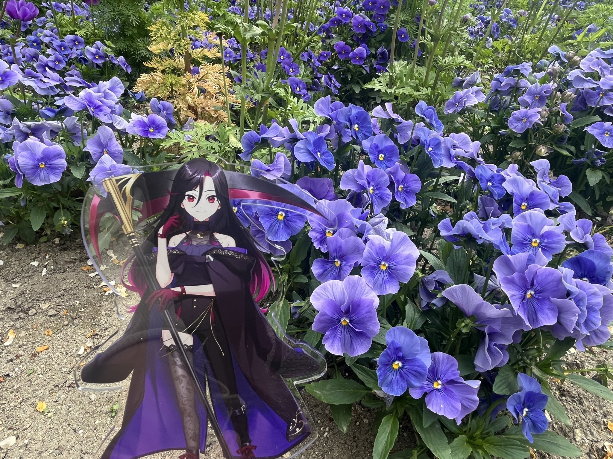 ☆姫ちゃん☆専用ページ☆(*´˘`*)♡❤✨☆。.:＊・゜ ☆姫ちゃん☆専用ページ☆(*´˘`*)♡❤✨☆。.:＊・゜ ひめちゃん