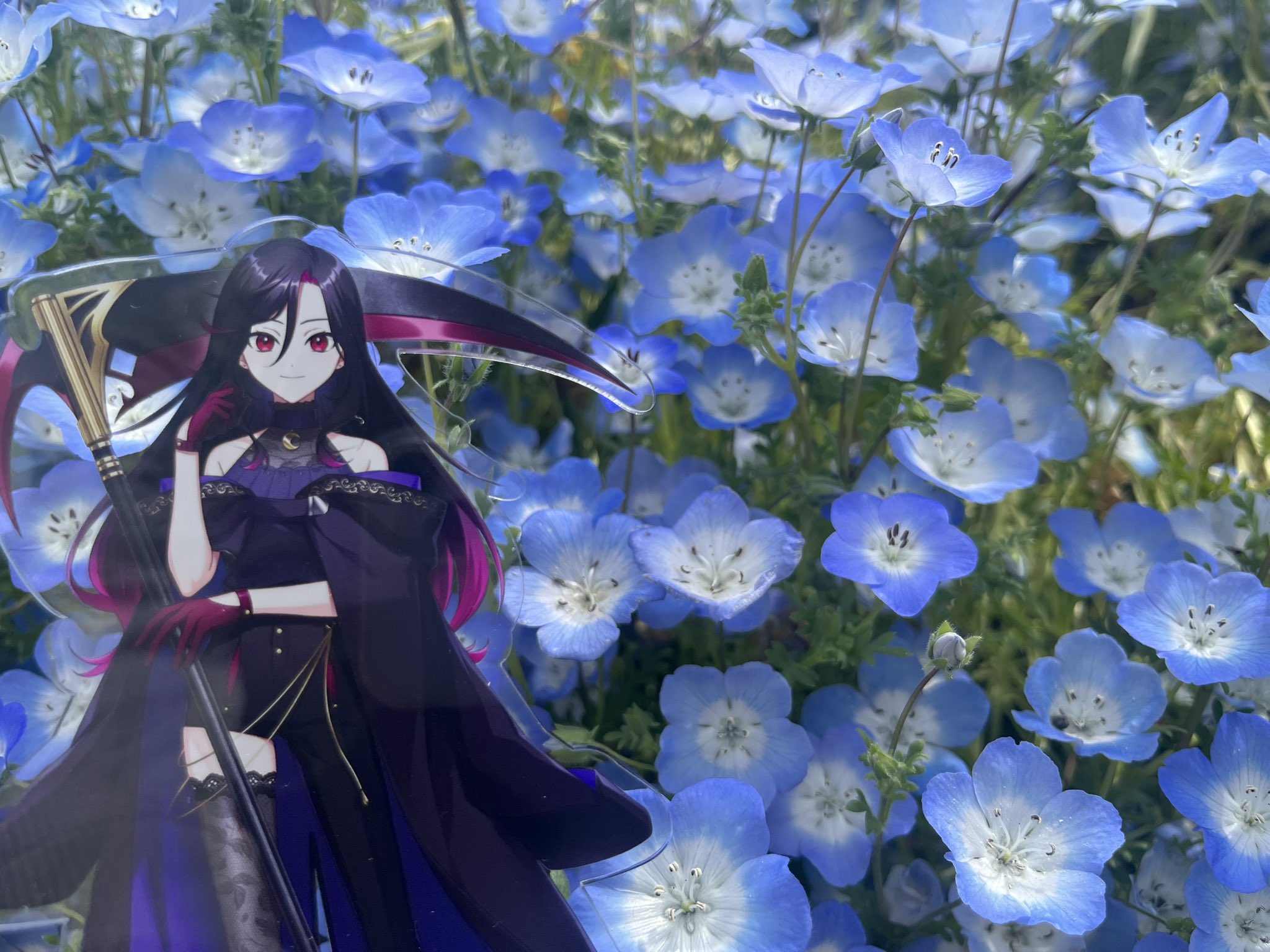 ひめちゃんみてよ - অনুসন্ধান / X