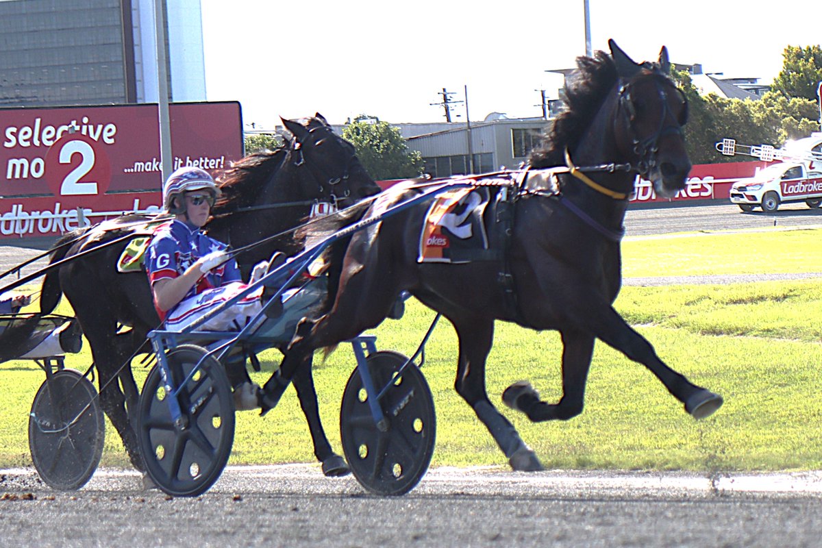 The Creek (@thecreekalbion) on Twitter photo Ajay Volstead returns in fine style for trainer <a href="/Darrenweeks10/">Darren weeks</a> and driver <a href="/garrard_angus/">Angus Garrard</a>
The talented 4YO takes his record to 8: 4-2-1 with the first up victory and claims a #QBRED second win bonus. Ajay Volstead returns in fine style for trainer <a href="/Darrenweeks10/">Darren weeks</a> and driver <a href="/garrard_angus/">Angus Garrard</a>
The talented 4YO takes his record to 8: 4-2-1 with the first up victory and claims a #QBRED second win bonus.