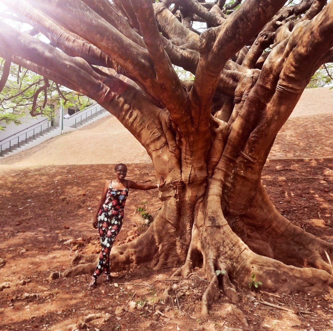 relaxintoself's tweet photo. The Earth homes us, feeds us, and heals us. Every tree, breeze, and ocean wave is a gift that reminds us how to be still. Nature calms nervous systems, restores perspective, and gently holds our anxieties. 

Let's celebrate our beautiful Earth 
#EarthDay #ClimateHope #NatureHeals https://t.co/3C95FZuIGg