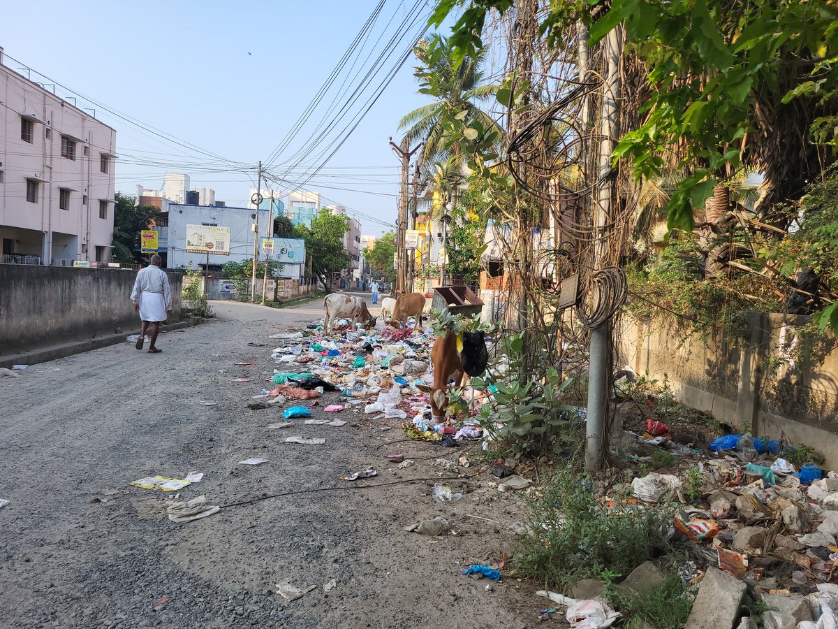 Nearly half of the road filled with garbages and sewage fully filled with plastics.

Roads with fully potholes are the daily routine in Medavakkam, Chennai 

<a href="/Ahmedshabbir20/">Shabbir Ahmed</a> <a href="/AadhavArjuna/">Aadhav Arjuna</a> <a href="/mkstalin/">M.K.Stalin - தமிழ்நாட்டை தலைகுனிய விடமாட்டேன்</a> <a href="/Udhaystalin/">Udhay - தமிழ்நாட்டை தலைகுனிய விடமாட்டேன்</a> <a href="/PriyarajanDMK/">Priya</a> <a href="/PKSekarbabu/">P.K. Sekar Babu</a> <a href="/EPSTamilNadu/">Edappadi K Palaniswami-SayYEStoWomenSafety&AIADMK</a> <a href="/annamalai_k/">K.Annamalai</a> <a href="/narendramodi/">Narendra Modi</a>