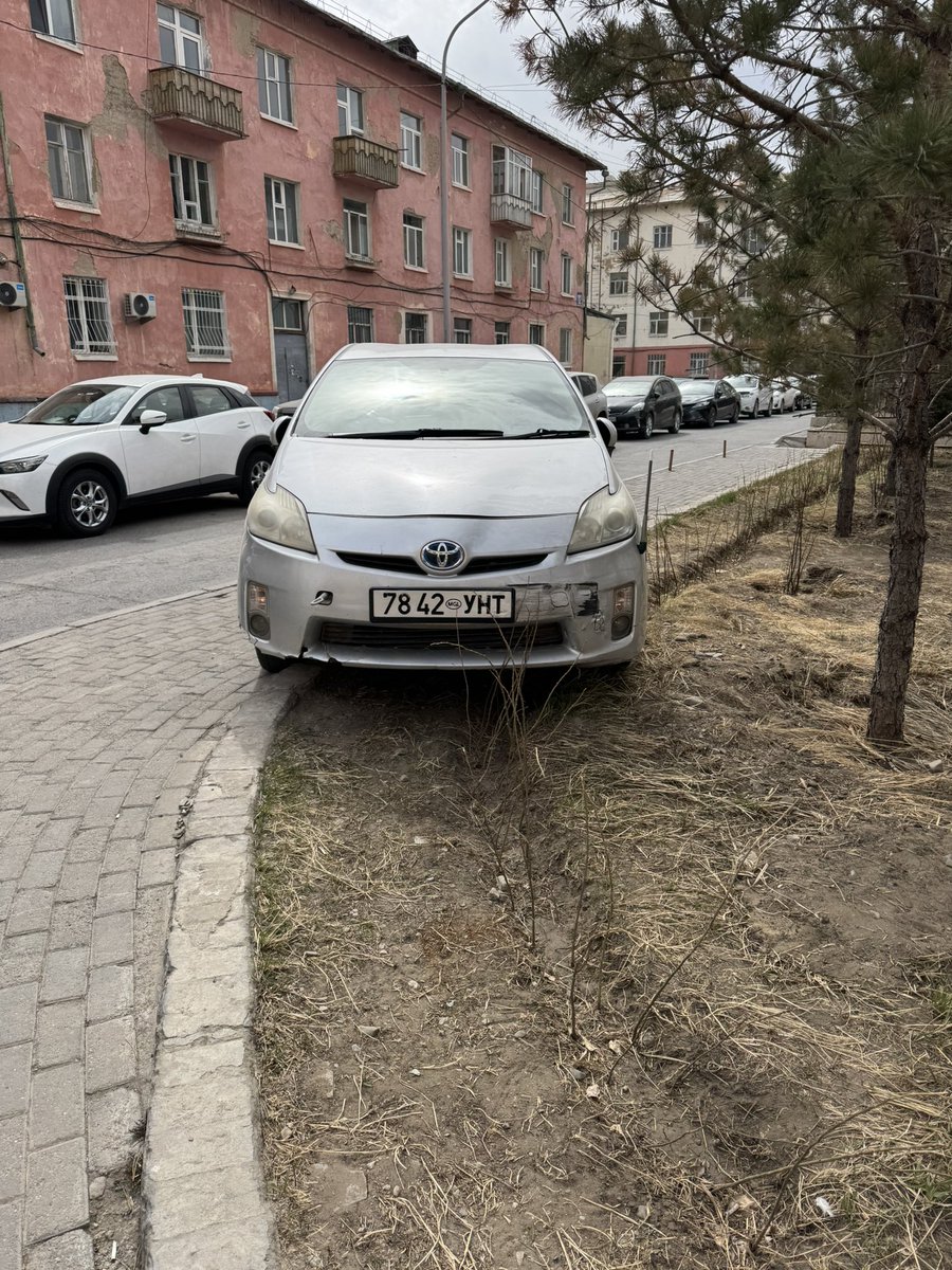 Хэдэн мод тариад услаад овоо болж байсан юмсан яах вэ энэ хар пизда нарыг