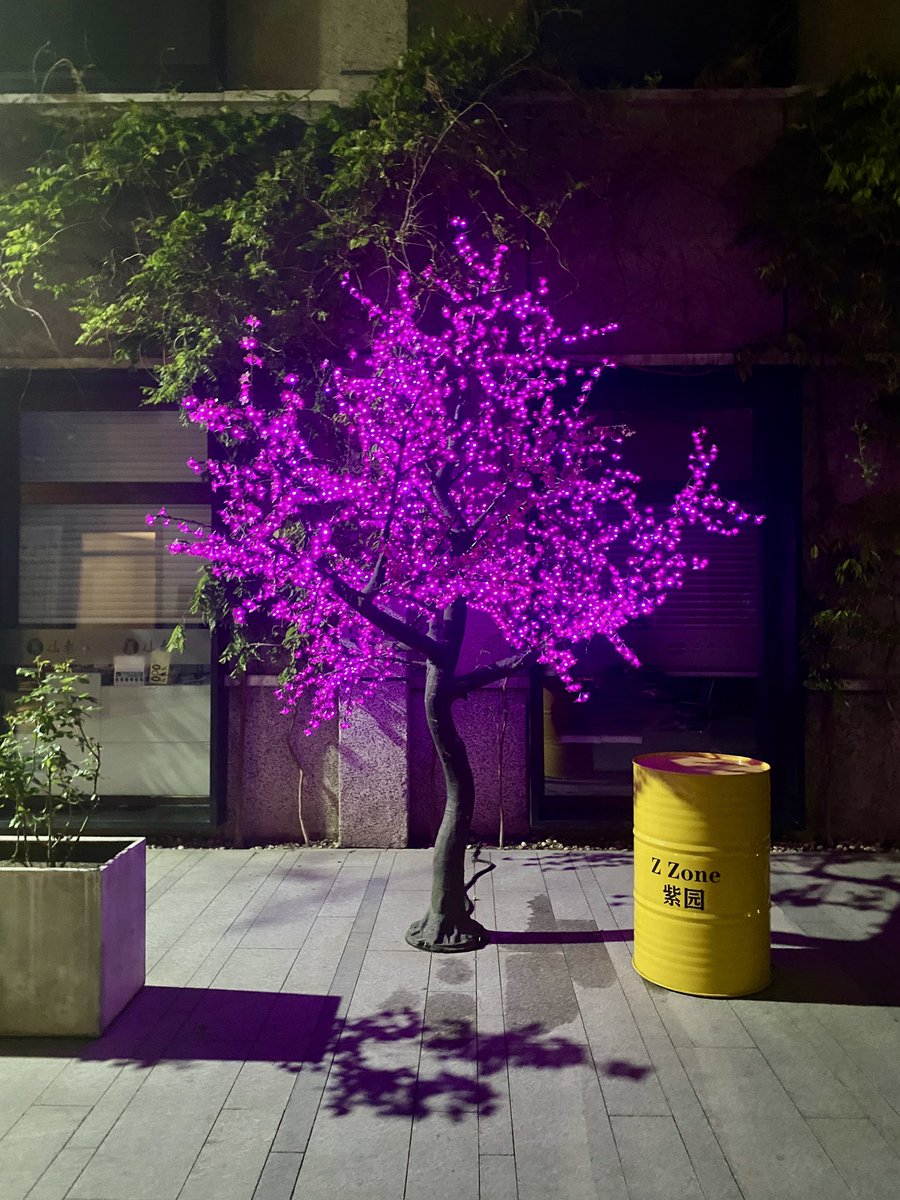 Nicolas Chapuis tweet media