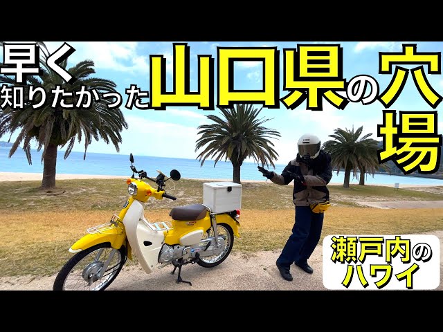 RingCatcher(リングキャッチャー)公式 tweet media