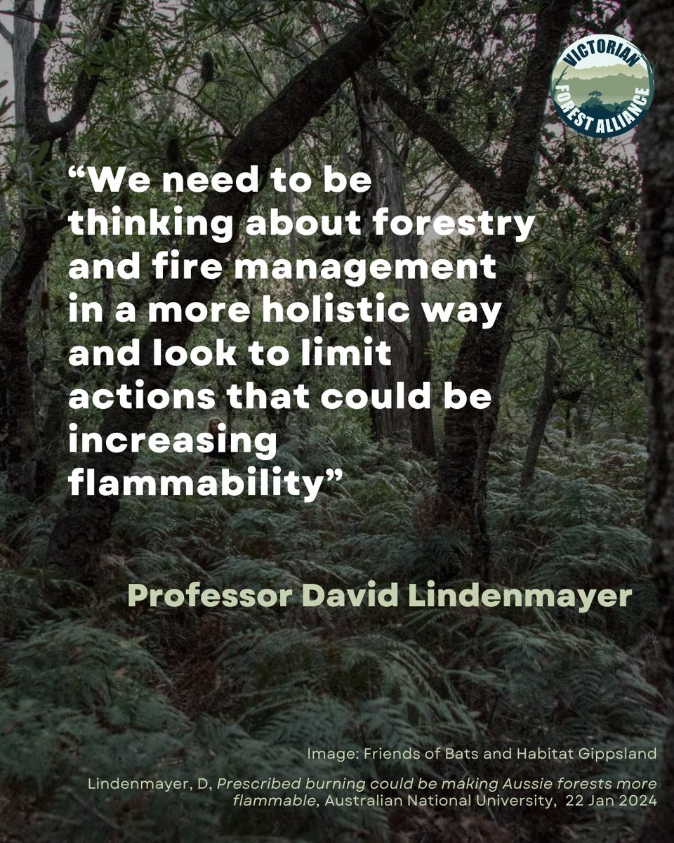alliance_forest's tweet photo. Logging, thinning, and burning can increase forest flammability. 🔥

Old trees are natural bushfire buffers. 🌳

We must think holistically and be clever about forest fire management.

Come along to Prof. Lindenmayer's webinar to learn more:
https://t.co/CmSg7pjt32 https://t.co/053RGSDGeL
