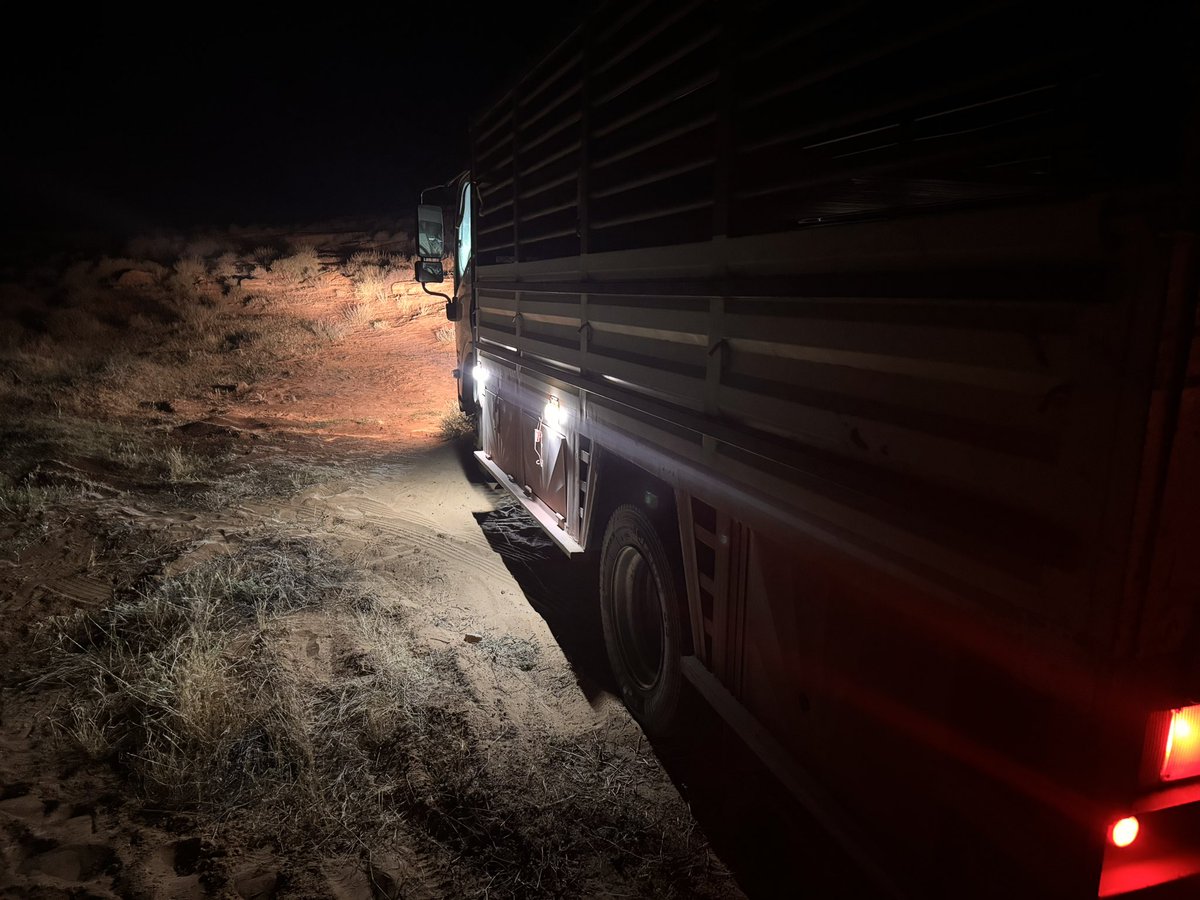 #فريق_أباالورود_التطوعي

التاريخ:الاثنين  ٢٣/ ١٠/ ١٤٤٦- ٢١/ ٤/ ٢٠٢٥

الوقت: ١١:١٥ ليلا

الموقع : شعيب #ضيدة

المهمة:تلقى الفريق بلاغا عن رجل يستقل شاحنة من نوع ( دينا ايسوزو) علقت في الرمال .

تم استخراج الشاحنة وتمت المهمة بنجاح ولله الحمد

#الأسياح
#انقاذ