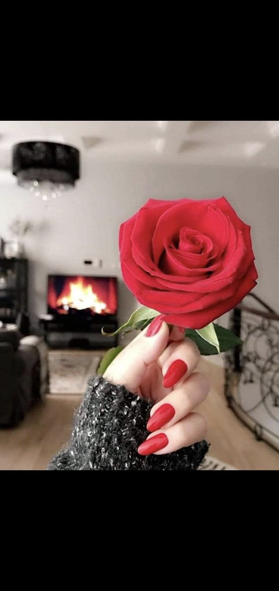 🌹🌹صبـاح الهدوء وعبق الورد صبـاح كل شيء جميل يعانق ارواحكم🌹🌹