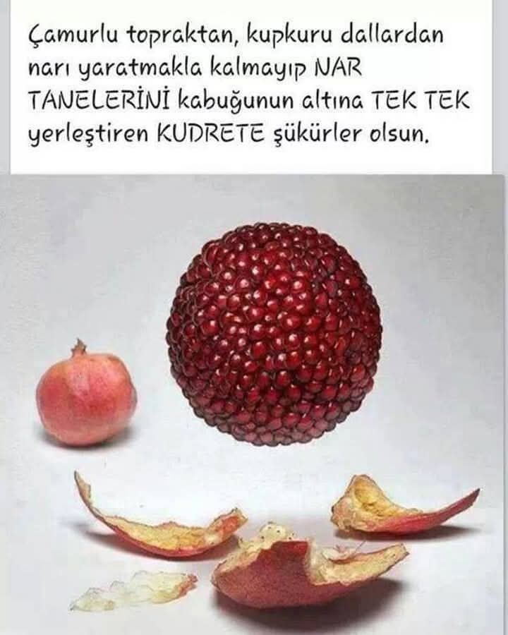 Elhamdullah yarabbim verdiğin her nimete 😊☺🍇🍈🍉🍊🍋🍌🍍🥭🍎🍏🍐🍑🍒🍓🥝🍅🥥🥑🍆🥔🥕🌽🌶🥒🥬🥦🧄🧅🍄🥜🌰🍞🥐🥖🥨🤲🤲🤲
