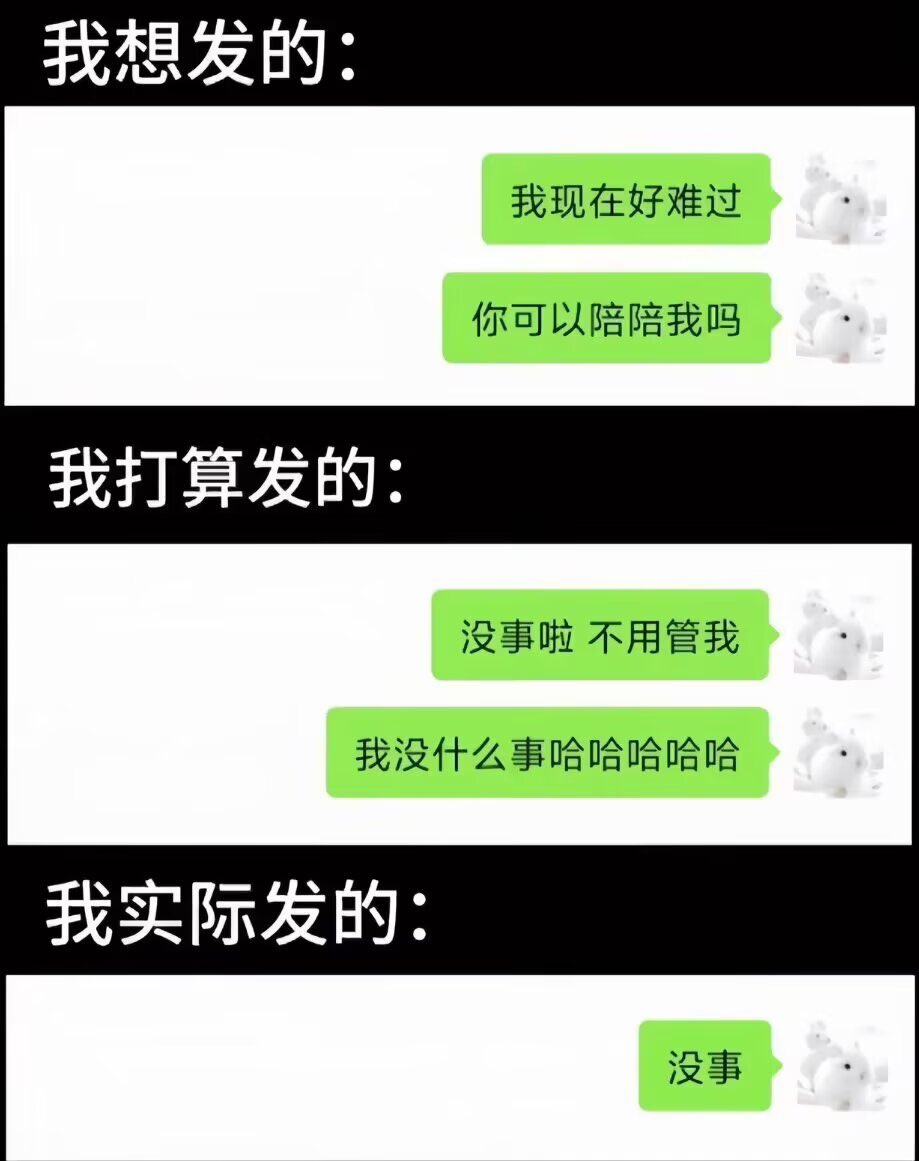 媒体预览