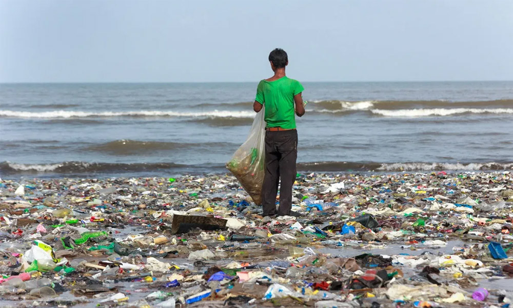 প্লাস্টিক দূষণে বছরে ১ লাখ সামুদ্রিক প্রাণীর মৃত্যু