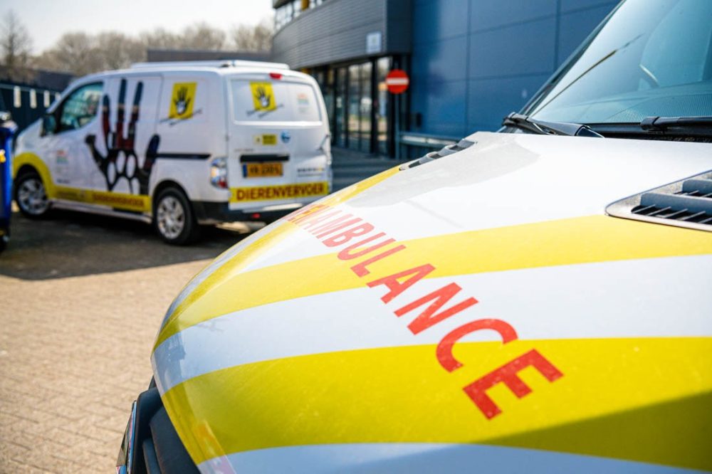 Vanwege technisch onderhoud is de Landelijke Meldkamer Dierenbescherming deze ochtend minder goed bereikbaar.🔧☎️ Dierenambulance nodig? Bel dan 144. Is er een (gewond) dier in nood of vormt het dier een gevaar voor zijn eigen veiligheid of dat van mensen, bel dan meteen 112.