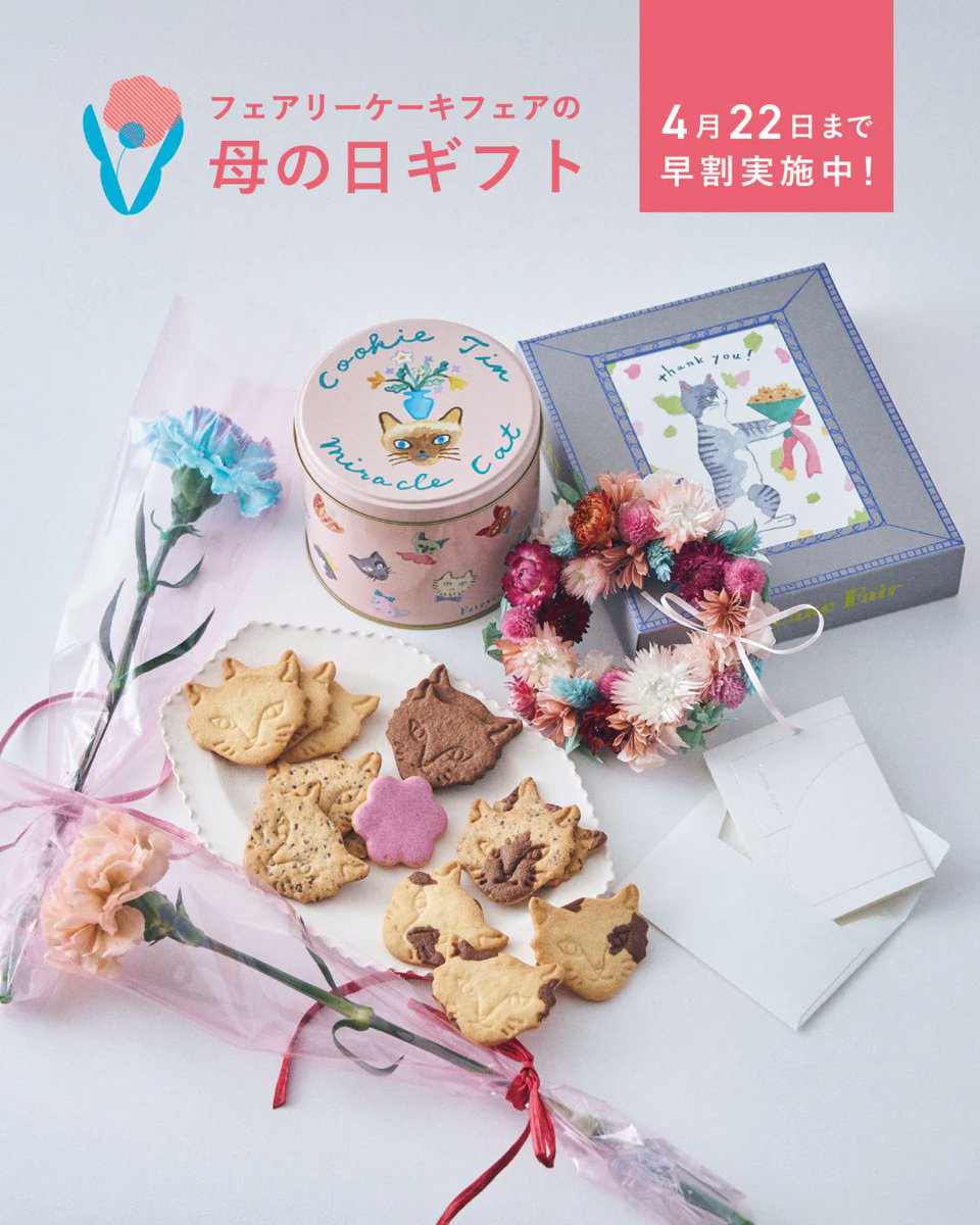 Fairycake Fair(フェアリーケーキフェア) (@fairycakefair) / X Fairycake Fair(フェアリーケーキフェア) (@fairycakefair) / X
