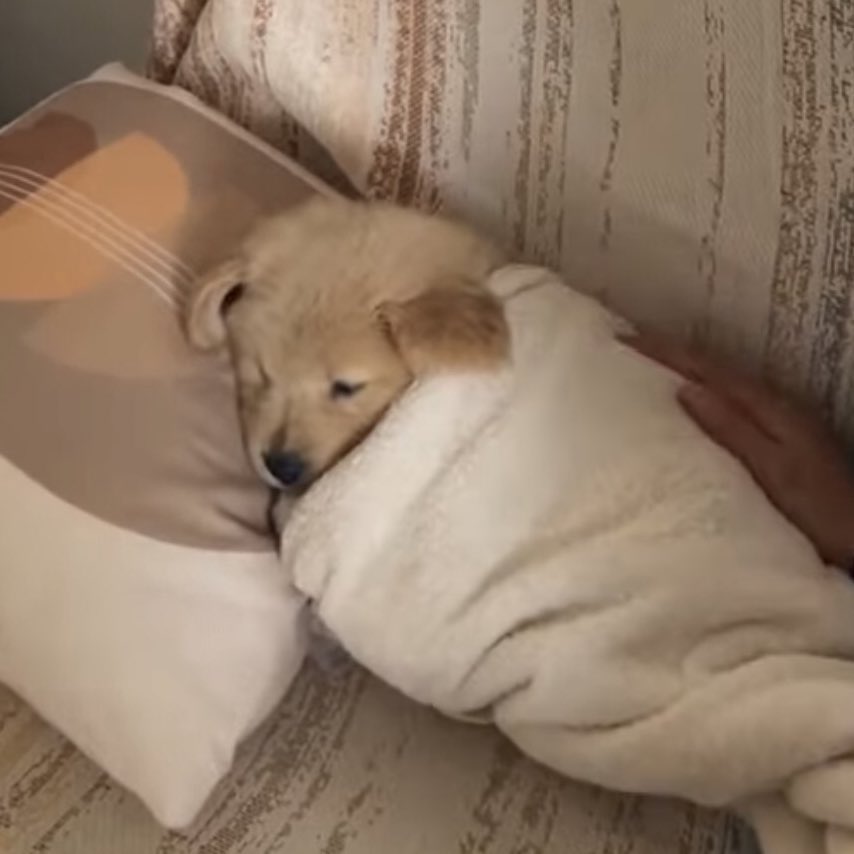 จิ๋ว tweet media