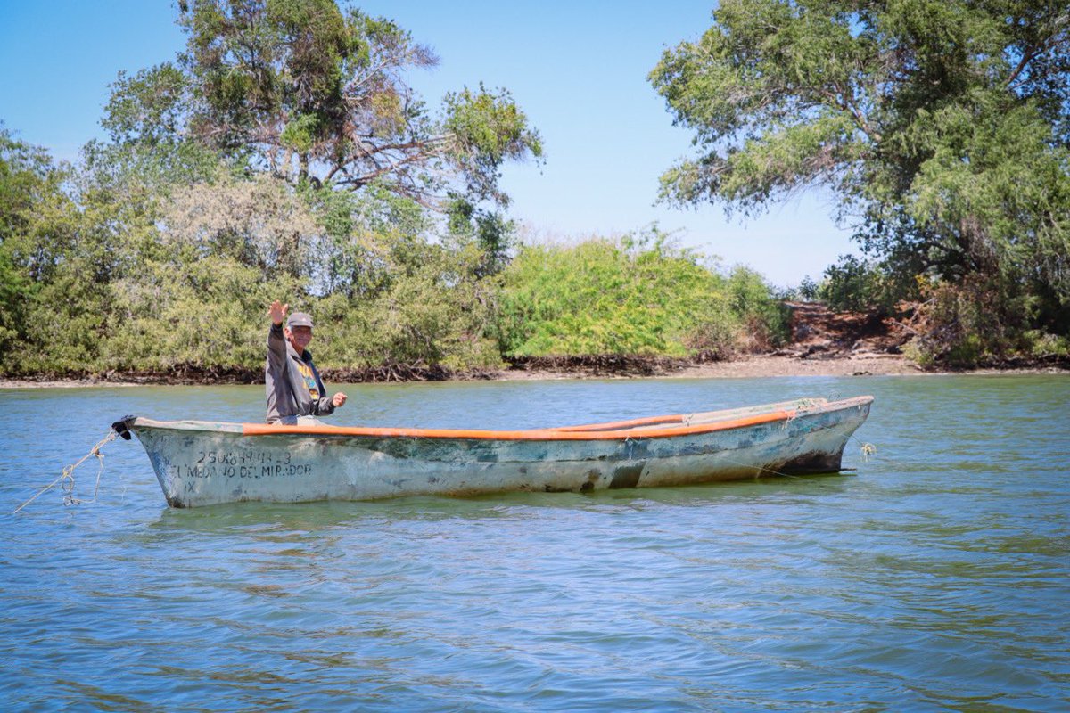Las Grullas Margen Derecha, Ahome, es una comunidad pesquera ejemplar, donde mujeres y hombres trabajan unidos con organización y visión🤝. Hoy, dan un paso adelante en busca de incursionar en la maricultura, apostando al futuro con fuerza y compromiso.🐟 #SinaloaEsPesca