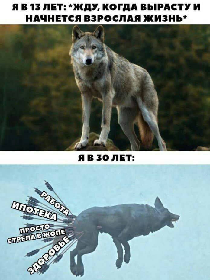 <a href="/katyadrinks5/">Катерина</a>