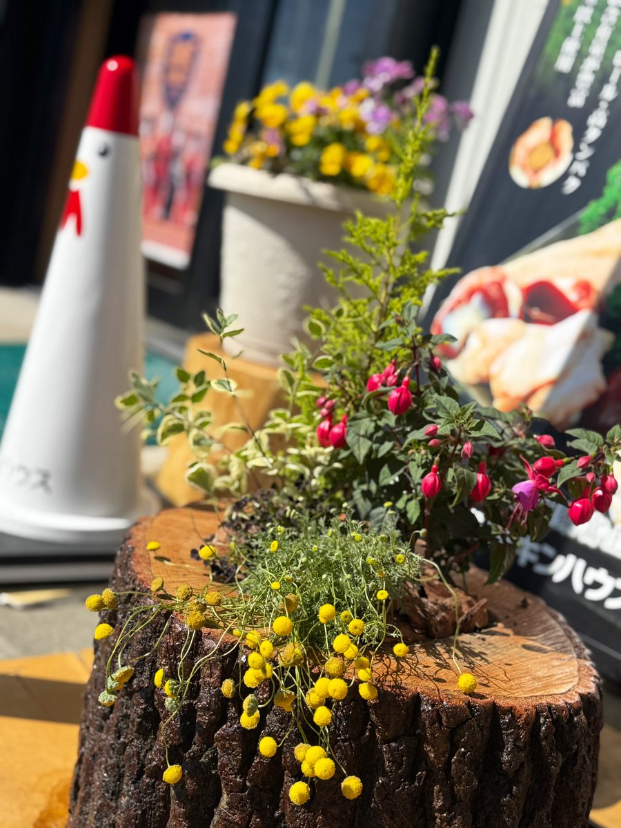 🐓GW4/26（土）〜5/5（月）
      休まず営業します‼️

※尚、ご用意できる数に限りがあるため
   上記期間中の串のご予約は
   お受けできかねますので
   ご了承下さいませ🙇🏻‍♀️

㊗️5/6(火)は
定休日とさせていただきます。

🈺9:30〜17:30
皆様のご来店をお待ちしております🐓