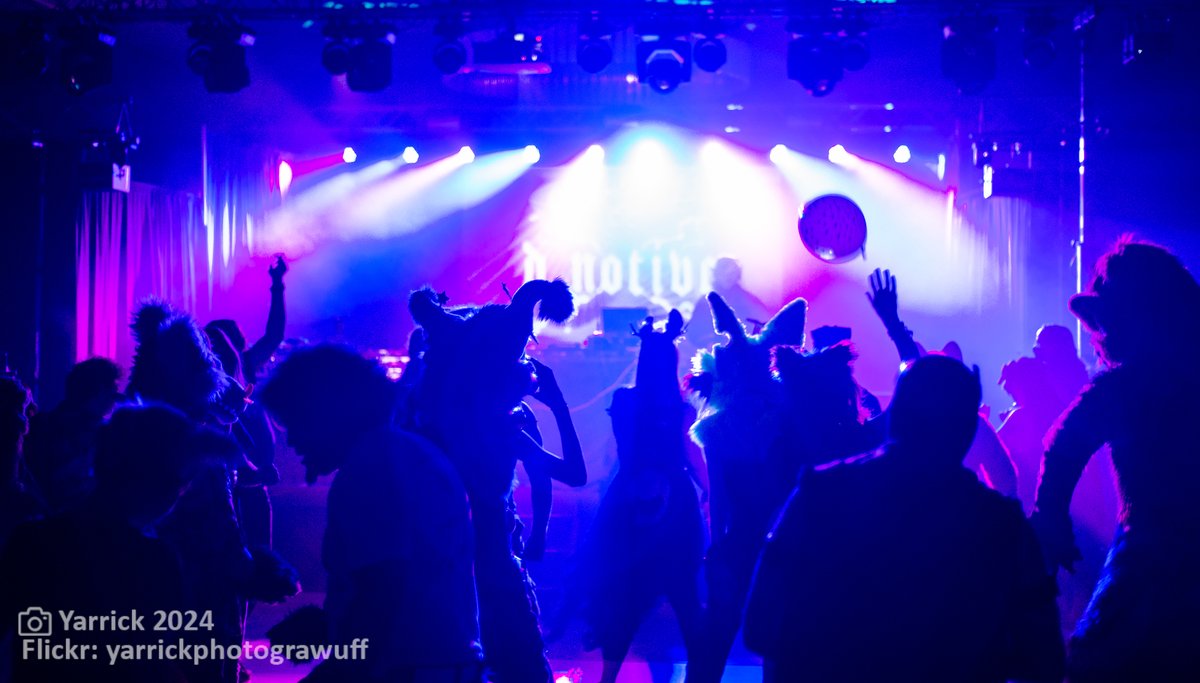 Furry Migration (@furrymigration) on Twitter photo Confident you have the musical wherewithal to make The Gala something special? #FurryMigration 2025 is now open for DJ submissions. You've only got until July 5th, so we think it's best to make haste.
furrymigration.org/events/dances/ Confident you have the musical wherewithal to make The Gala something special? #FurryMigration 2025 is now open for DJ submissions. You've only got until July 5th, so we think it's best to make haste.
furrymigration.org/events/dances/