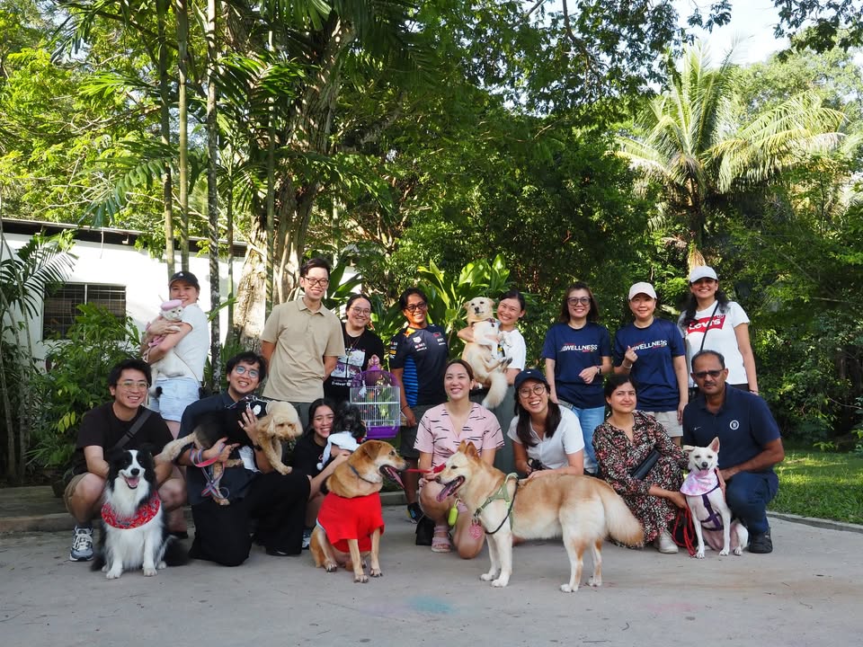 Bonding over fur and feathers. See what pawsing for wellness does for us and discover more ways we bust stress at Oracle social.ora.cl/60192TlJb🧘‍♀️#LifeAtOracle. #OracleWellness