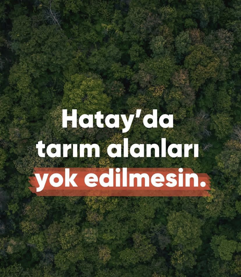 sıla🇹🇷 (@violallxl) on Twitter photo 