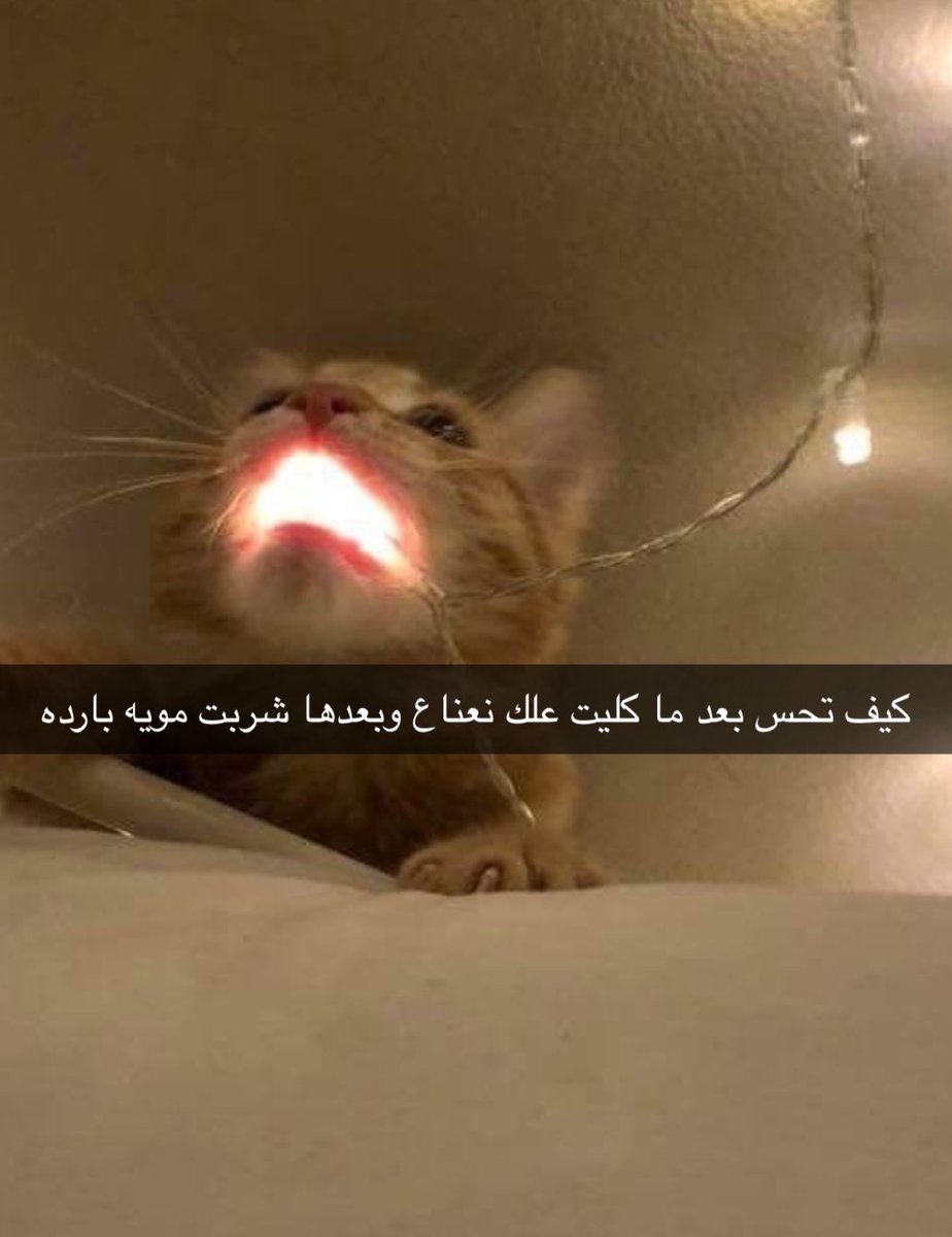 منصور (@i14nn) on Twitter photo 
