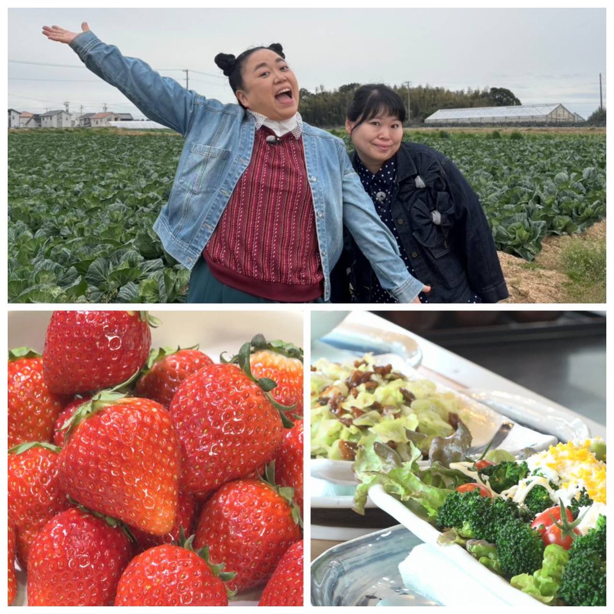 あすは...
#ニッチェ が巡る！
今行きたい！道の駅GW直前SP
愛知・田原市 半額春キャベツ⭐️
岐阜・柳津町 午前中に完売！希少イチゴ🍓

スイッチ！ガーデン
家でも簡単！春花の育て方とは？🌷

DAI★さんぽ🤟
#DAIGO が三重・桑名駅周辺を散策🚶🏻
旬のハマグリを堪能！