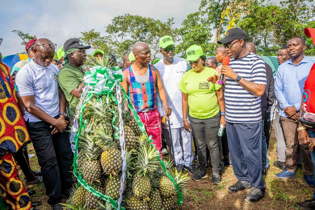 A trail of dreams, a summit of memories. Grateful for every step taken today at Hike Safari!

#AdventureInEkiti #HikeWithUs #NatureUnveiled #HikeEkiti2025 #MountainSafari #HikingAdventure #exploreekiti