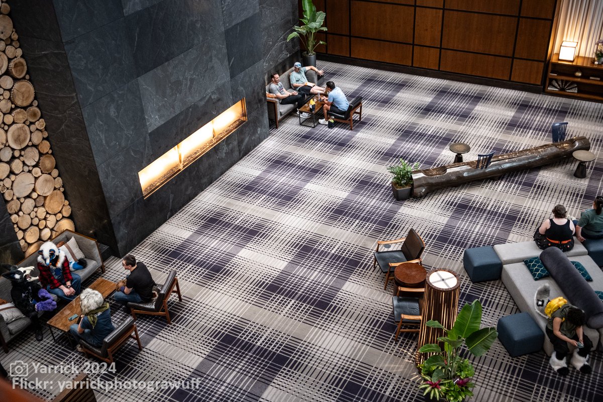 Furry Migration (@furrymigration) on Twitter photo As a reminder: we are only one week away from the opening of our hotel block at the Hyatt Regency Minneapolis. It goes live April 30th at noon CDT. 
furrymigration.org/venue/hotel shall hold all the information you will need for booking your accommodations. As a reminder: we are only one week away from the opening of our hotel block at the Hyatt Regency Minneapolis. It goes live April 30th at noon CDT. 
furrymigration.org/venue/hotel shall hold all the information you will need for booking your accommodations.