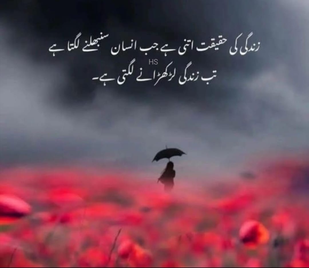 जिंदगी की हकीकत इतनी है जब इंसान संभलने लगता है तब जिंदगी लड़खड़ाने लगती है