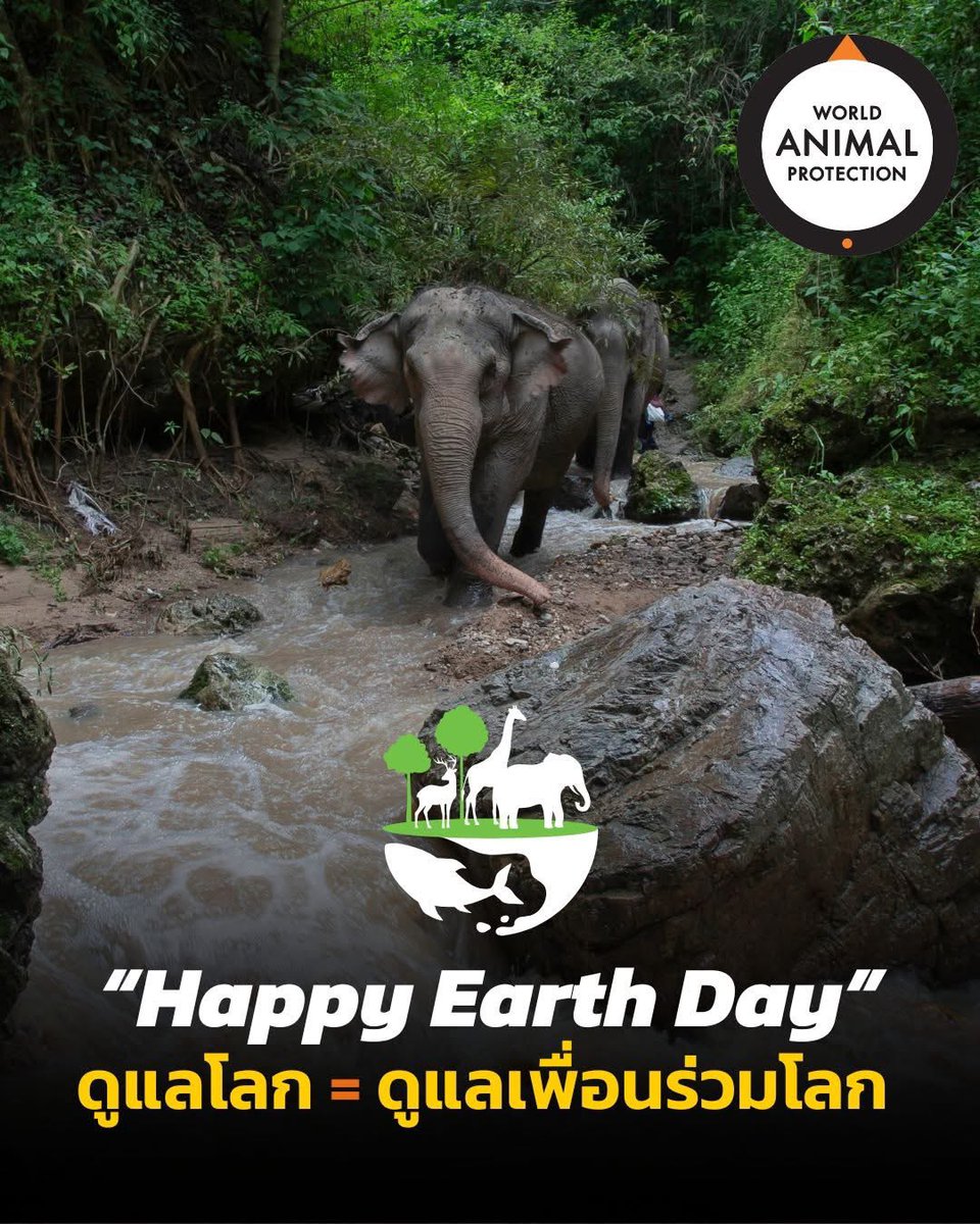 🌍💚 Happy Earth Day 💚🌍

ในวันที่เราพูดถึงการดูแลโลก อย่าลืมว่าสัตว์ทุกตัวคือเพื่อนร่วมโลกของเรา

#สิ่งแวดล้อมที่ดี = #ชีวิตสัตว์ที่ปลอดภัยและมีความสุข

การปกป้องโลก ไม่ใช่แค่เพื่อมนุษย์ แต่ยังหมายถึงการสร้างบ้านที่ปลอดภัยสำหรับสิ่งมีชีวิตทุกสายพันธุ์บนโลกใบนี้ 🐾 #earthday