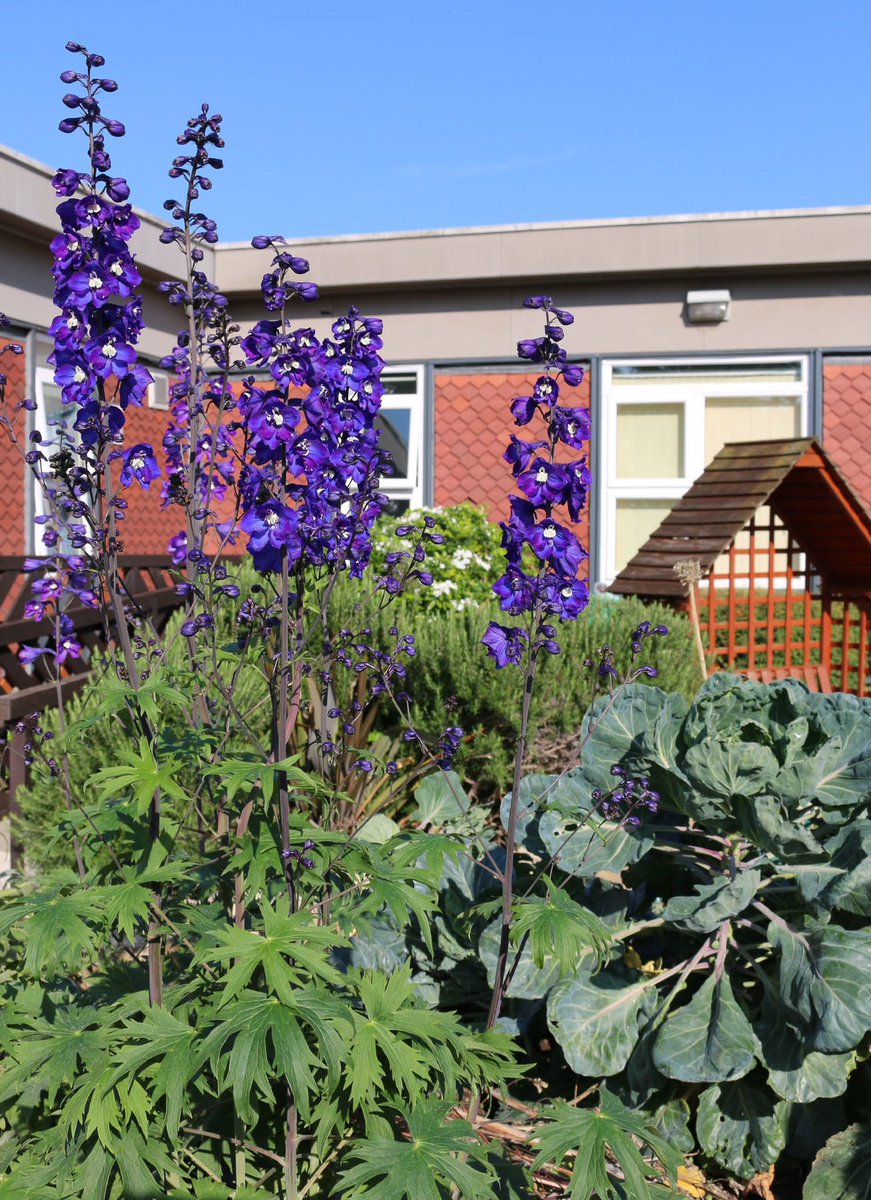 Neil Carr tweet media