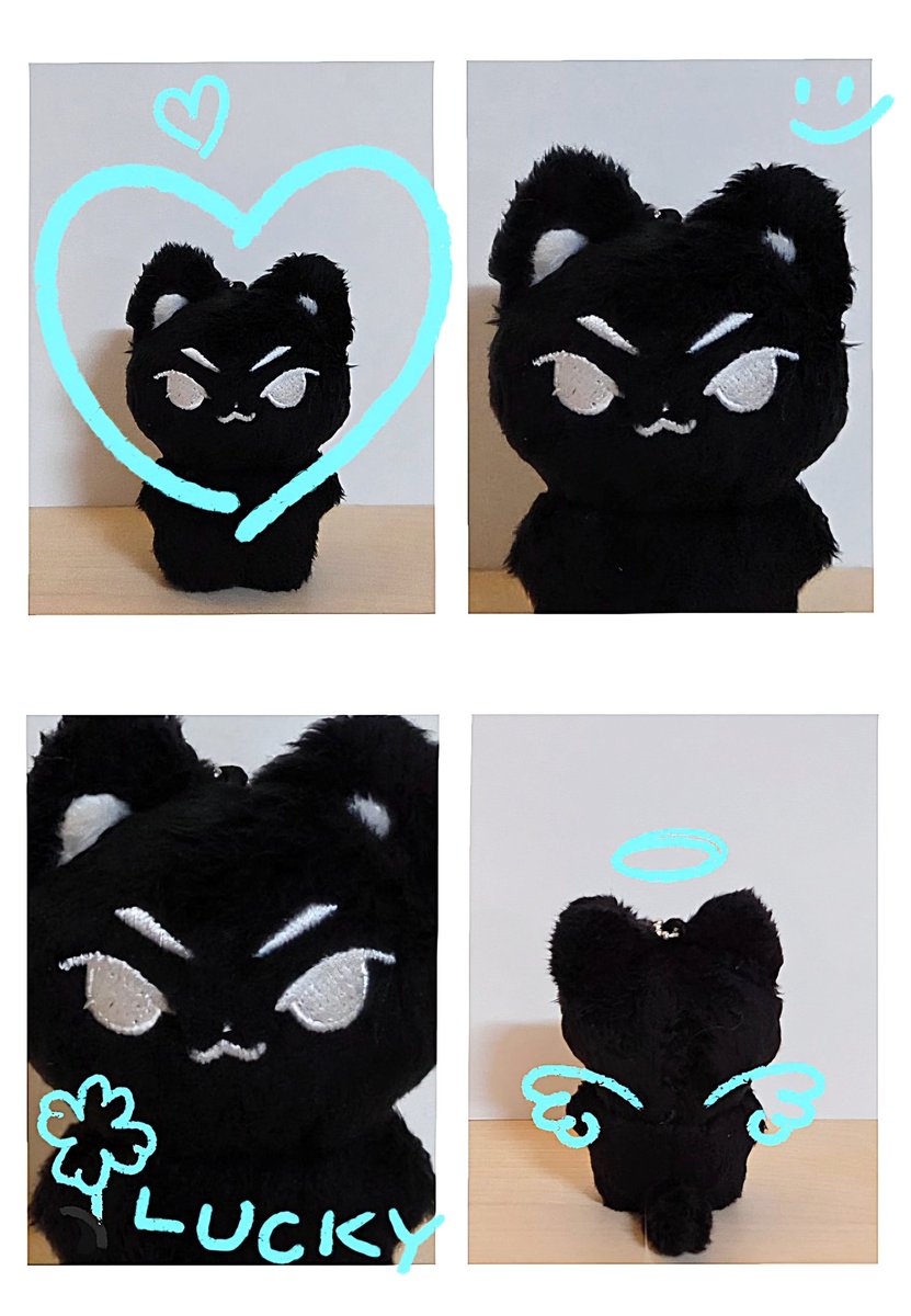 🐈‍⬛️💙 <a href="/kkamhani/">깜한이 (배송중•••)</a>
