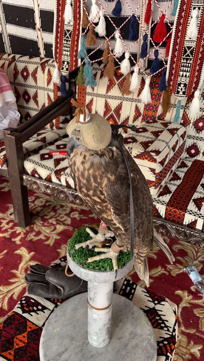 عسّاف (@ii3ssaf) on Twitter photo 