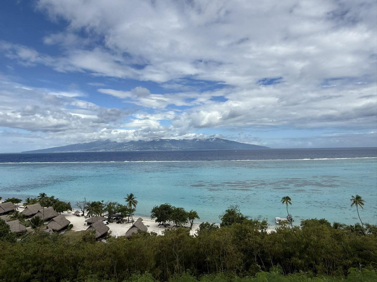 Madclark22's tweet photo. Take me back to my overwater bungalow and scuba diving with turtles in Tahiti please. I’ll forever be dreaming about this epic vacation. #vacation #turtles #scubadiving https://t.co/SxemIG9yRO