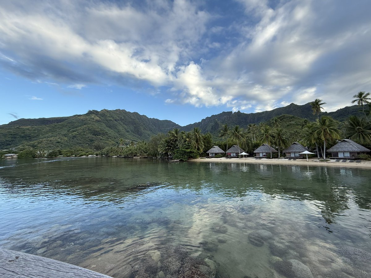 Madclark22's tweet photo. Take me back to my overwater bungalow and scuba diving with turtles in Tahiti please. I’ll forever be dreaming about this epic vacation. #vacation #turtles #scubadiving https://t.co/SxemIG9yRO