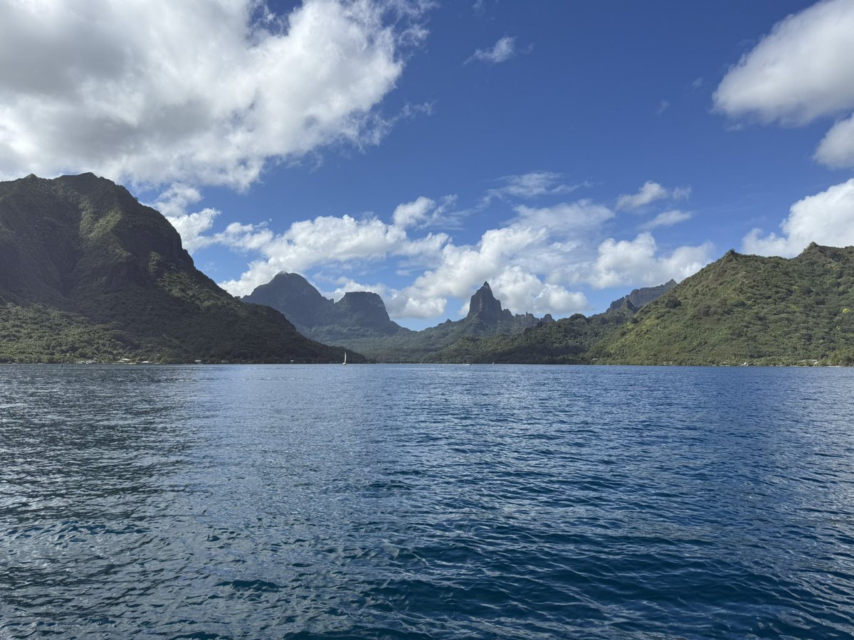 Madclark22's tweet photo. Take me back to my overwater bungalow and scuba diving with turtles in Tahiti please. I’ll forever be dreaming about this epic vacation. #vacation #turtles #scubadiving https://t.co/SxemIG9yRO